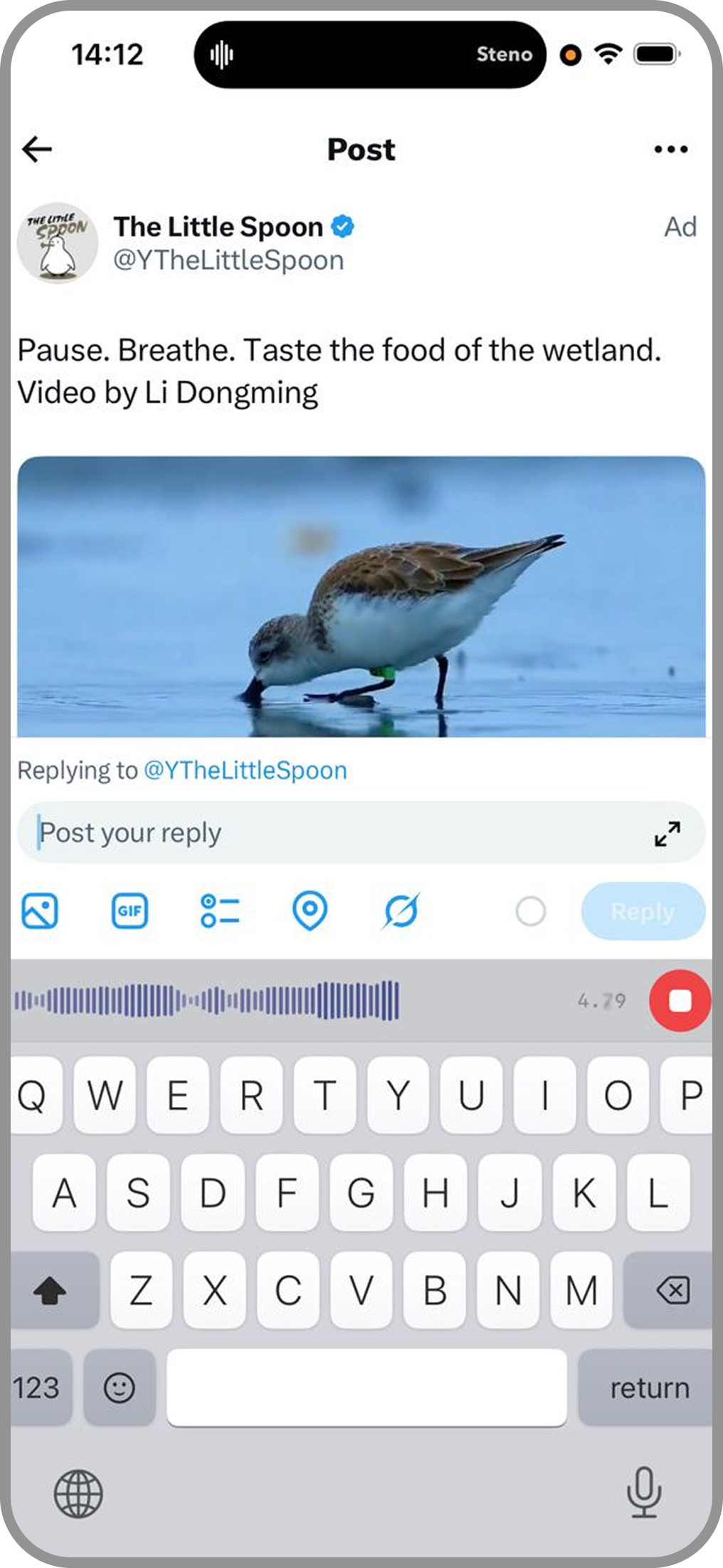 Steno Keyboard voice dictation in Twitter